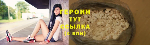 молекула духа Вяземский