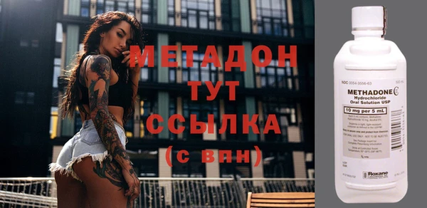 молекула духа Вяземский